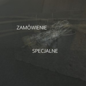 ZAMÓWIENIE SPECJALNE dla Pani Ireny A. - Bransoletka" złomki"